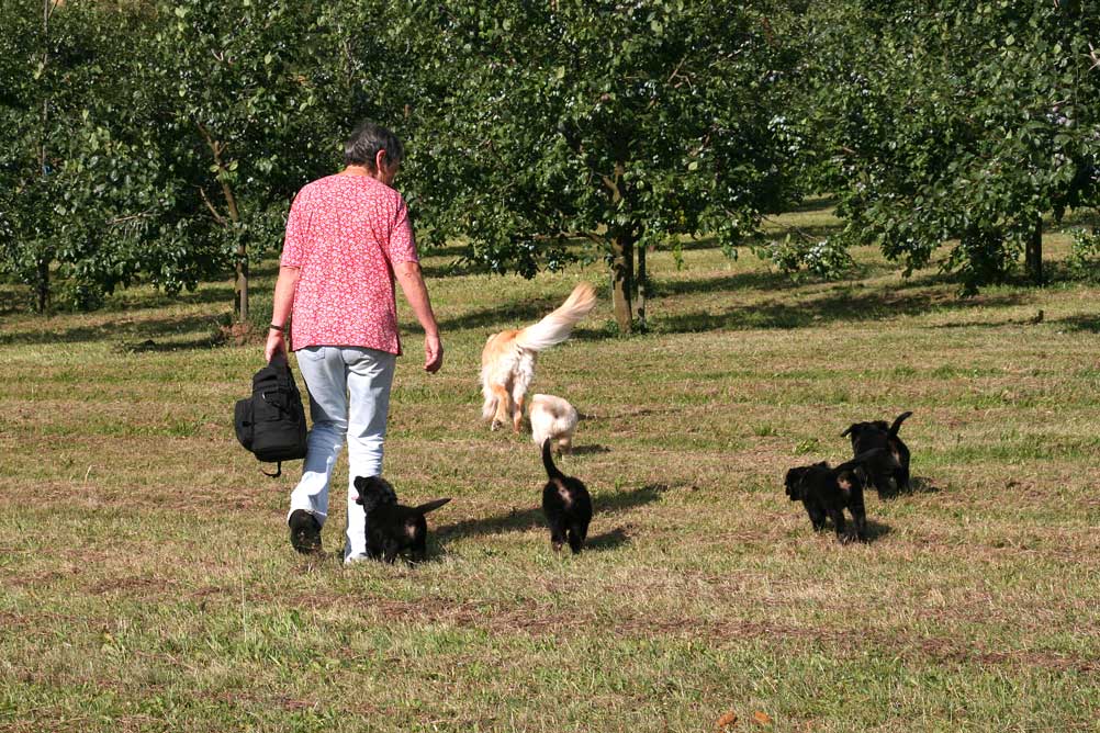 20080805-Ge-IMG3635-Ausflug-Ilse-Lola-Welpen